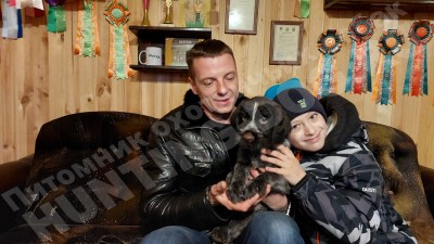 Новые владельцы